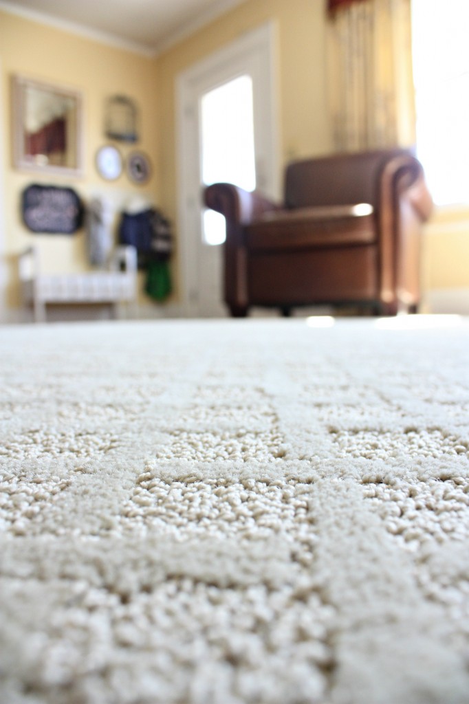 Our new Mohawk SmartStrand Rug