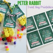 Peter Rabbit Treat Bag #Printables via @NestofPosies