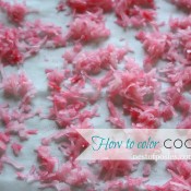 How to color Coconut via @NestofPosies