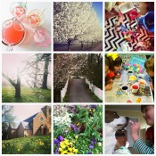 Life in Instagram via Nest of Posies
