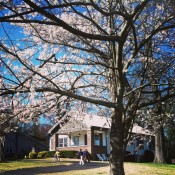 Spring (Home) Maintenance via Nest of Posies