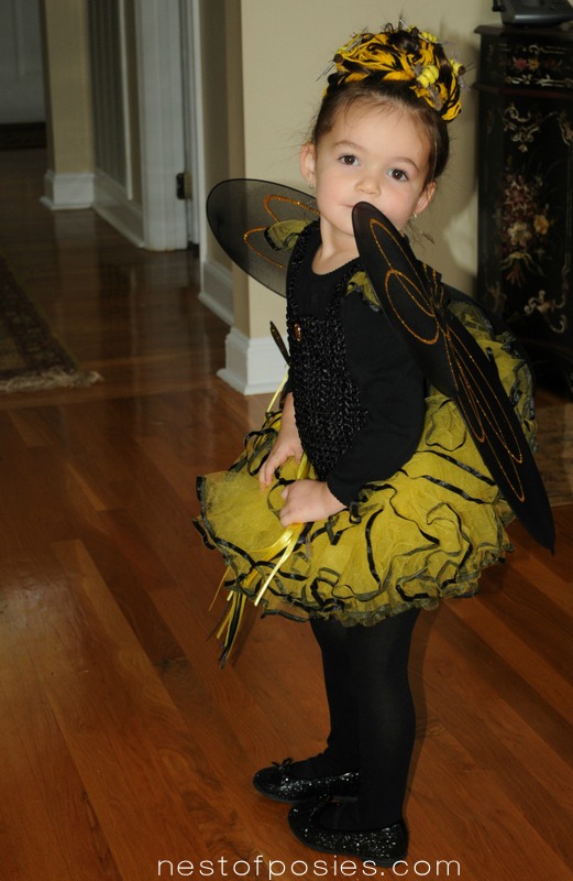 The BEEHIVE and the Bumblebee.  A DIY Halloween Costume Idea via Nest of Posies