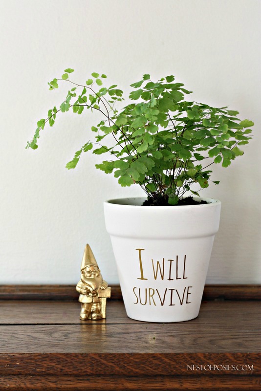 I will survive plant pot