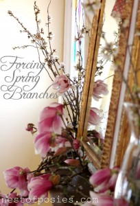 Forcing Spring Branches