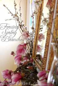 Forcing Spring Branches