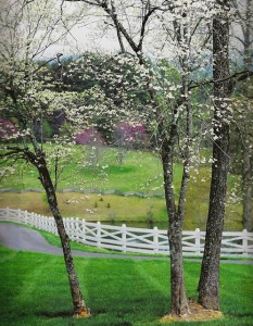 Spring at Blackberry Farm