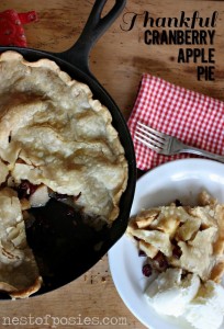 Thankful Cranberry Apple Pie in an Iron Skillet