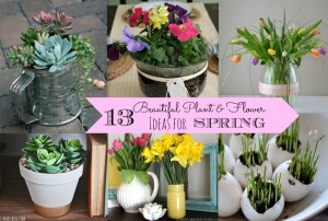 13 Beautiful Plant & Flowers Ideas for Spring