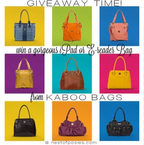 Giveaway time = Win a Kaboo eBag!  Winner picks bag & color of choice