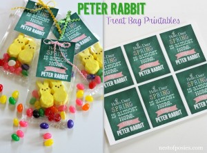 Peter Rabbit Treat Bag Printables