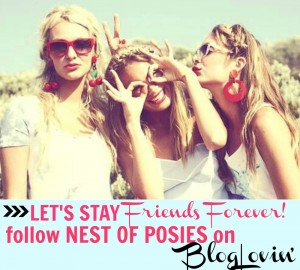 Let’s stay friends forever!  Follow along on BlogLovin’