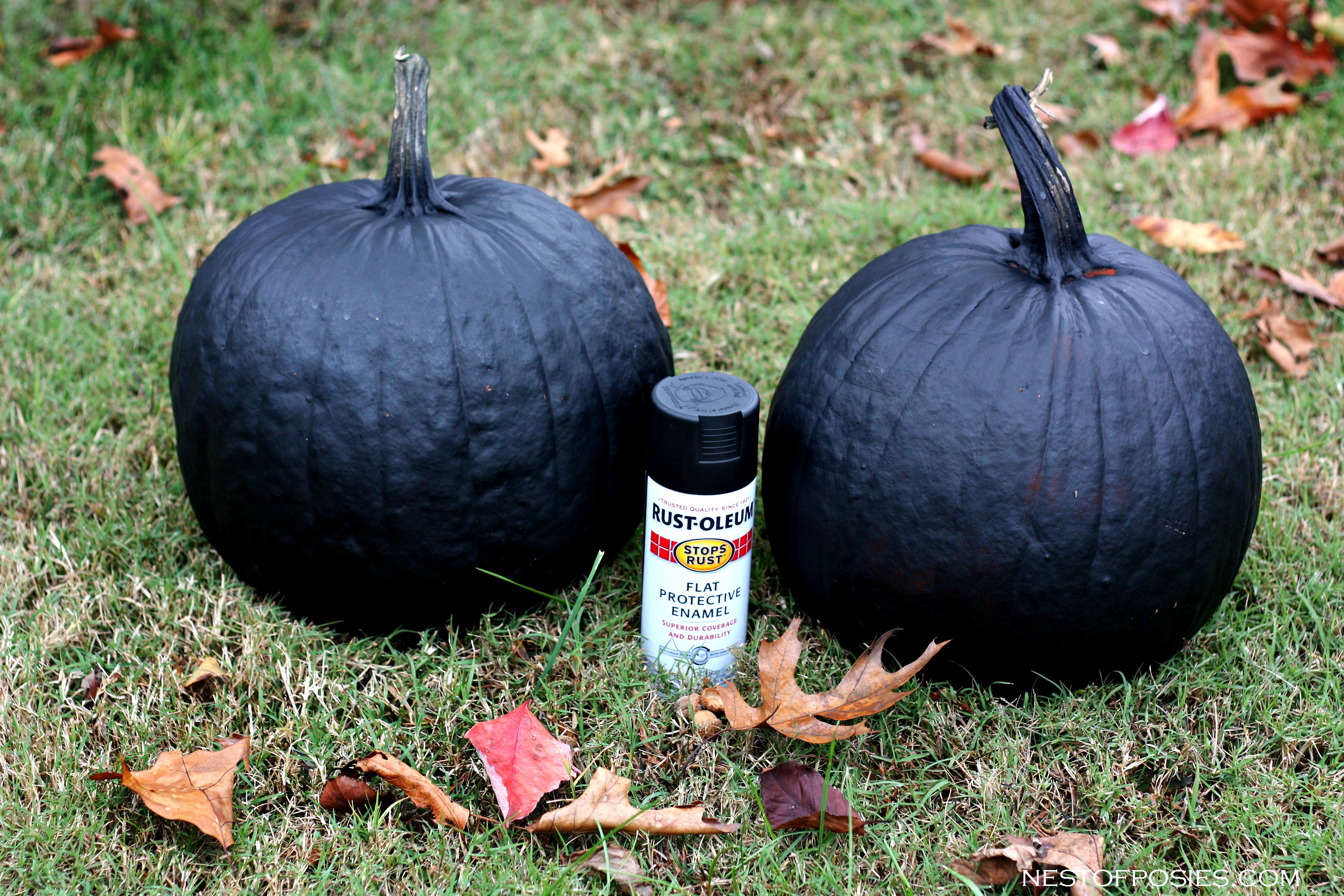 spray painting pumpkins