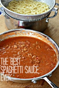 The Best Spaghetti Sauce Recipe {Semi homemade}