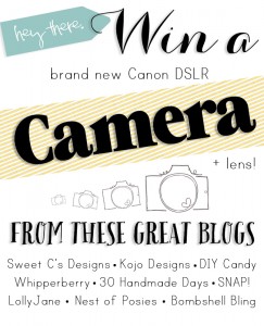 Win a CANON CAMERA + lens in time for the holidays!