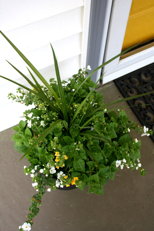 Create a colorful entrance 