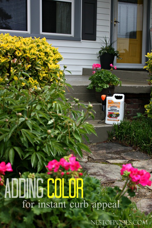 Adding Color for instant curb appeal and POP!