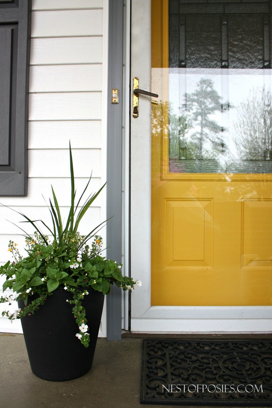 Create a colorful entry