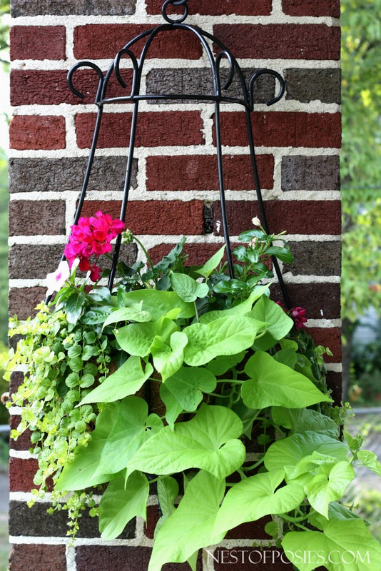 Hanging Flower Baskets