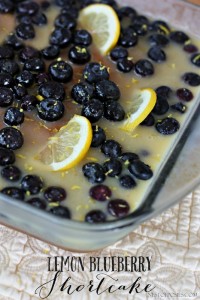 Lemon Blueberry Shortcake