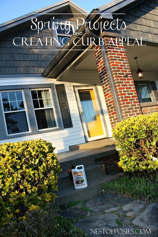 Spring Projects and Creating Curb Appeal on a budget