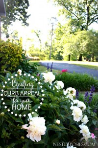 Curb Appeal Ideas