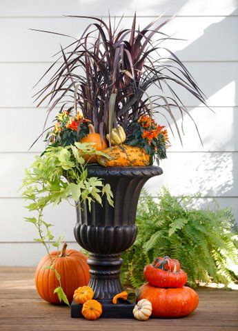 Fall Container Garden Ideas