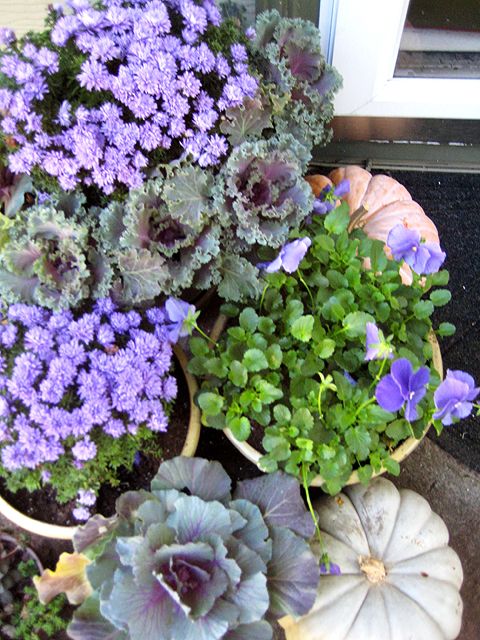 Kale, Pansies and Pumpkins all in lavender hues make a beautiful Fall presentation