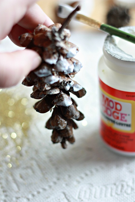 Apply Mod Podge to the tips of your Pinecones and sprinkle with glitter