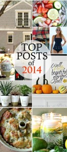 Top Posts of 2014