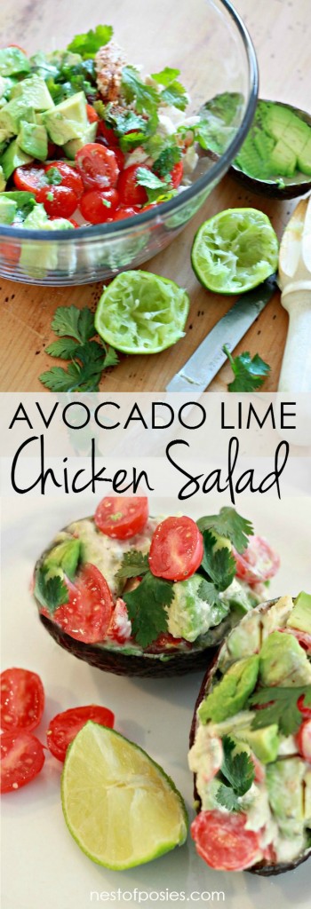 Avocado Lime Chicken Salad