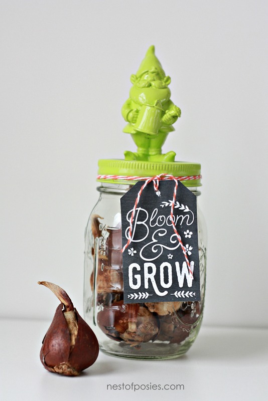 Flower Garden in a Jar with FREE chalkboard printable gift tag
