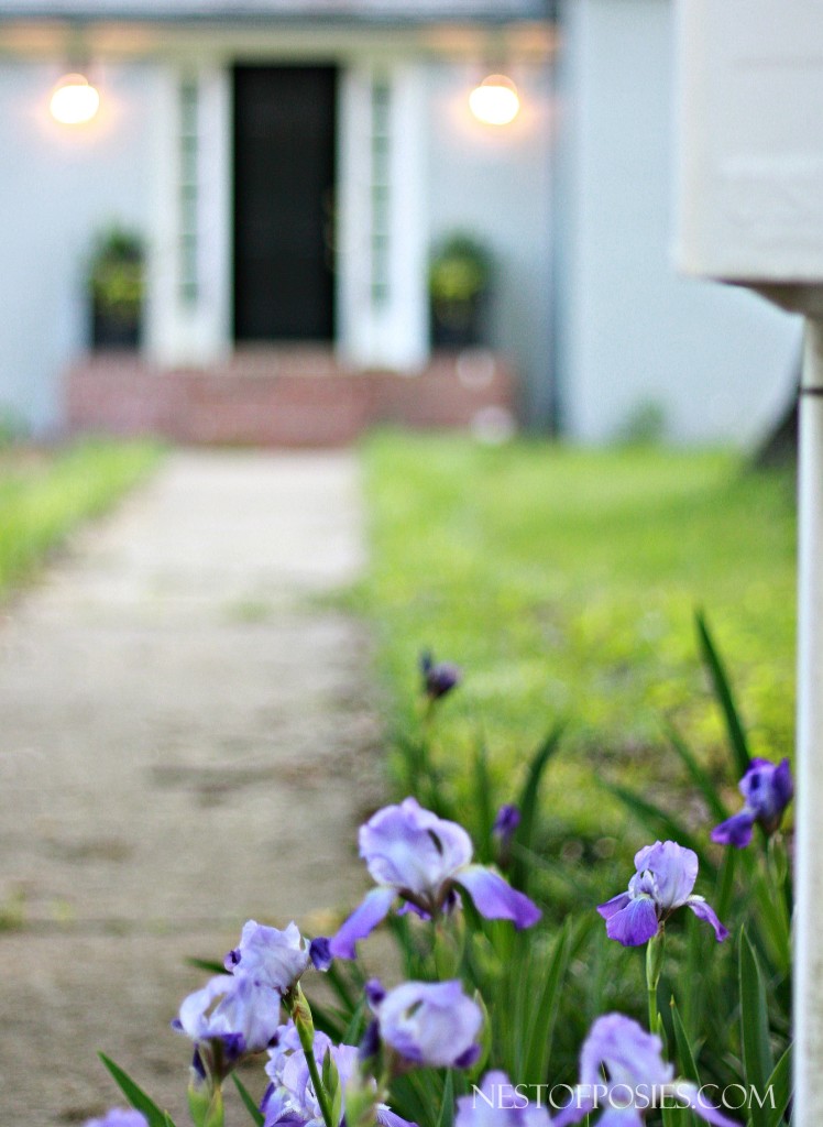 Remodeling a Foreclosure