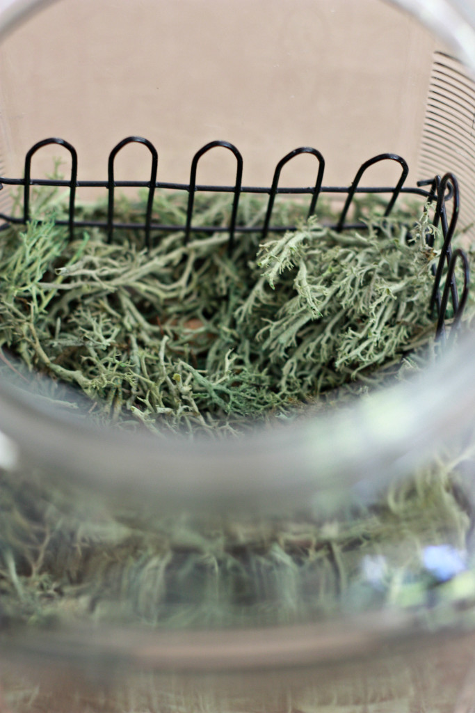Creating a Halloween Terrarium