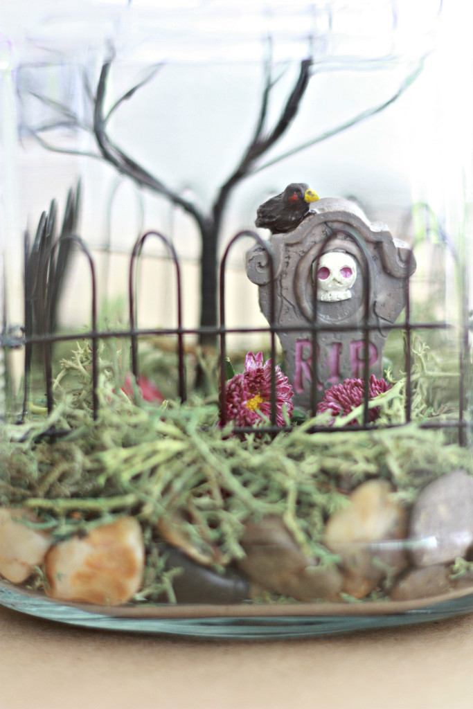 Make a Halloween Terranium