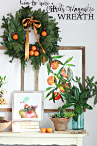 How to make a Citrus Wreath