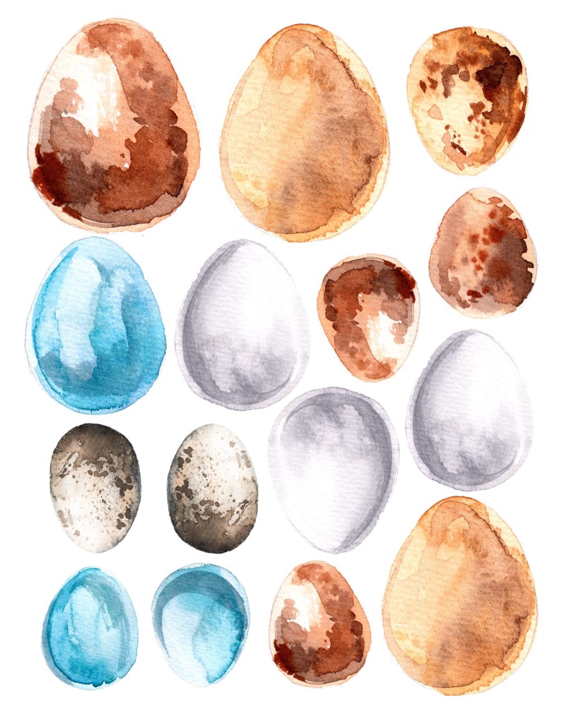 Watercolor Egg Free Download Printable 11x14