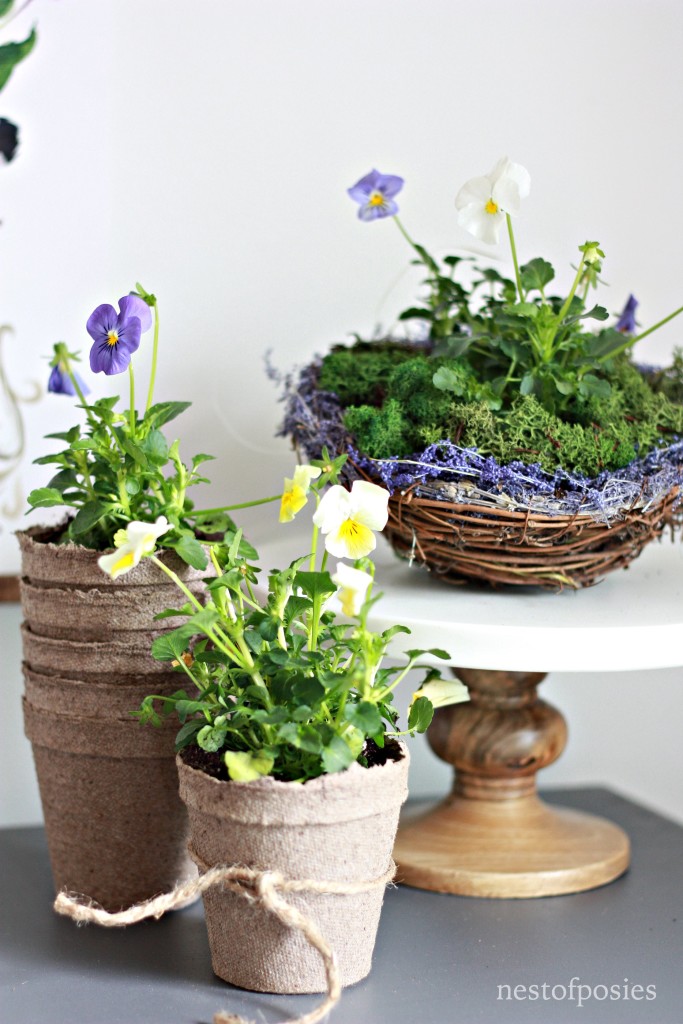 Affordable Spring Decor for creating vignettes in your home