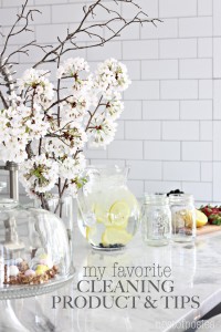 My Favorite Cleaning Product and Tips for the Home