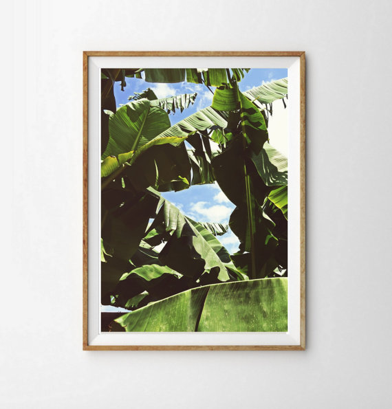 Banana Leaf Print