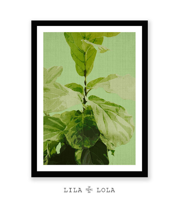 Fiddle Leaf Fig Printable Download