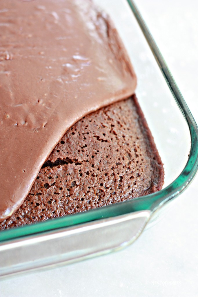 Texas Sheet Cake in a 9x13 Pan for Smaller Parties