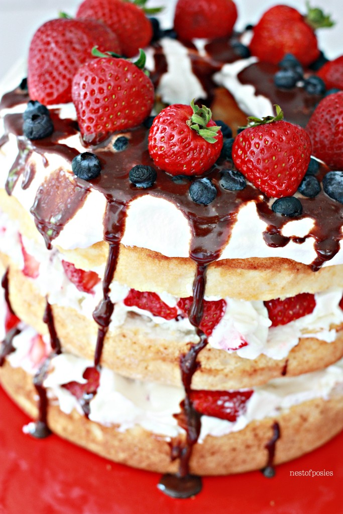 Angel Berry Cake