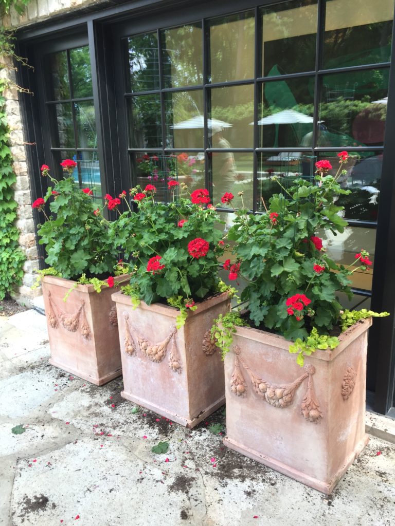 Flower Container Gardening Ideas