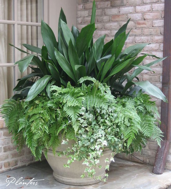 Flower Container Gardening Ideas