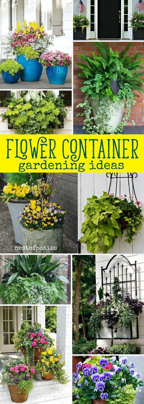 Tabletop Planter Ideas