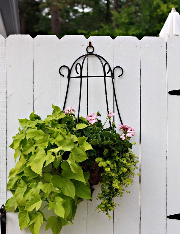 Flower Container Gardening Ideas