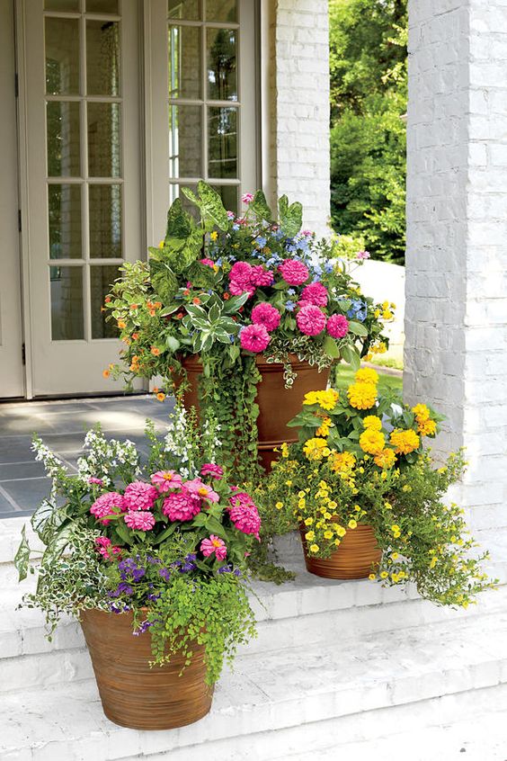 Flower Container Gardening Ideas