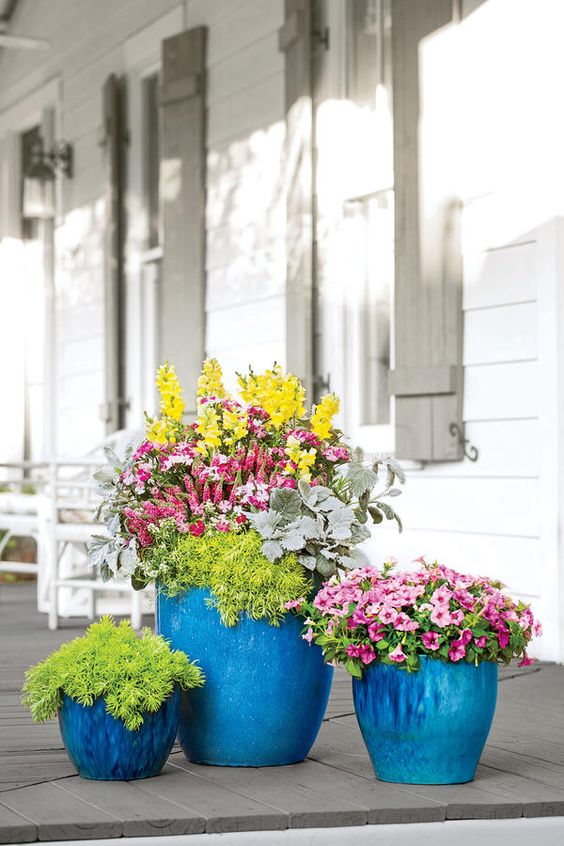 Flower Container Gardening Ideas