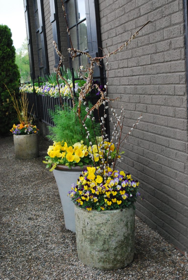 Flower Container Gardening Ideas