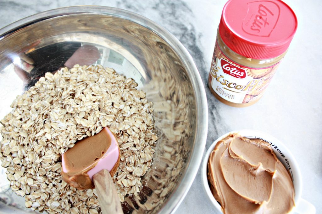 No Bake Biscoff Granola Bar Egg Nests